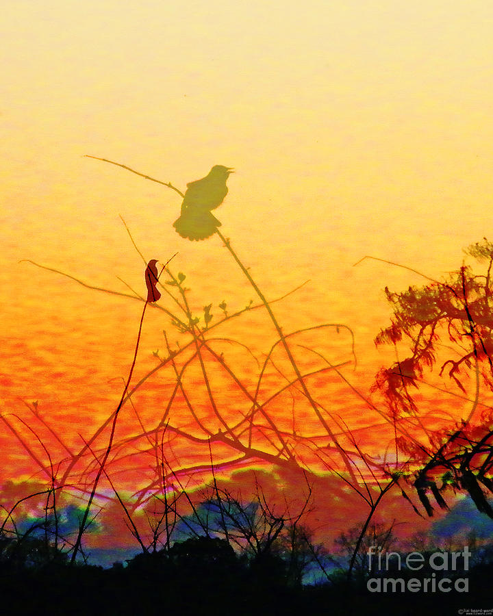 Sunset Warblers lake martin Louisiana Digital Art by Lizi Beard-Ward