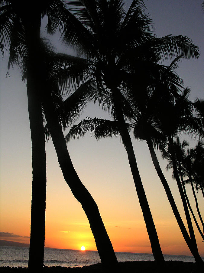 Sunset Photograph - Sunset West Coast Of Maui by Robert Lozen
