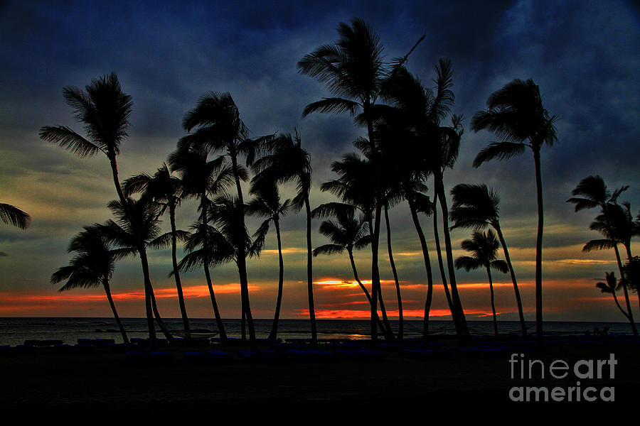Sunset Wind Hawaii By Diana Sainz Photograph by Diana Raquel Sainz