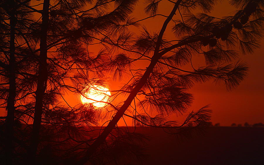 Sunset with a Smokey Hue Photograph by AJ  Schibig