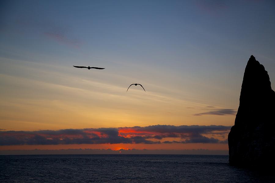 Sunset With Birds Photograph