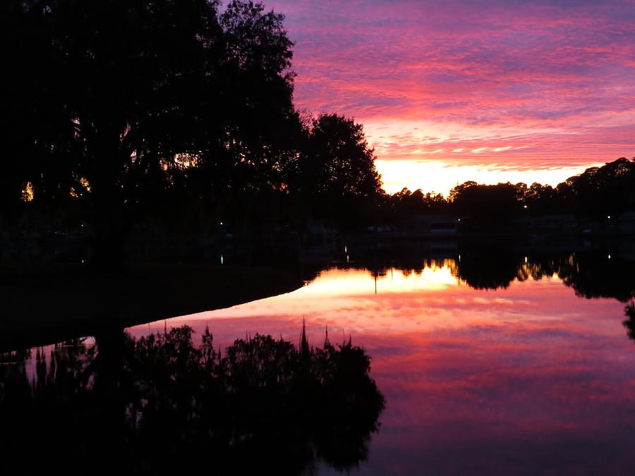 Sunset Photograph - Sunset With Reflection by Zina Stromberg