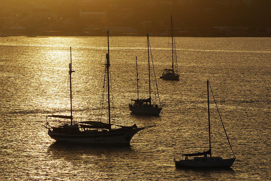 Sunset Yachts Photograph by Ramunas Bruzas