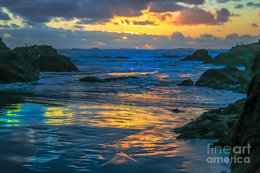 Sunset Yellow Reflections Photograph by Robert Bales