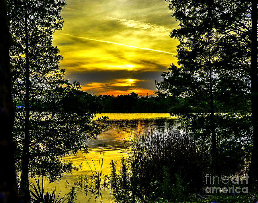 Sunset Photograph - Sunsets Dance by Amanda Sinco