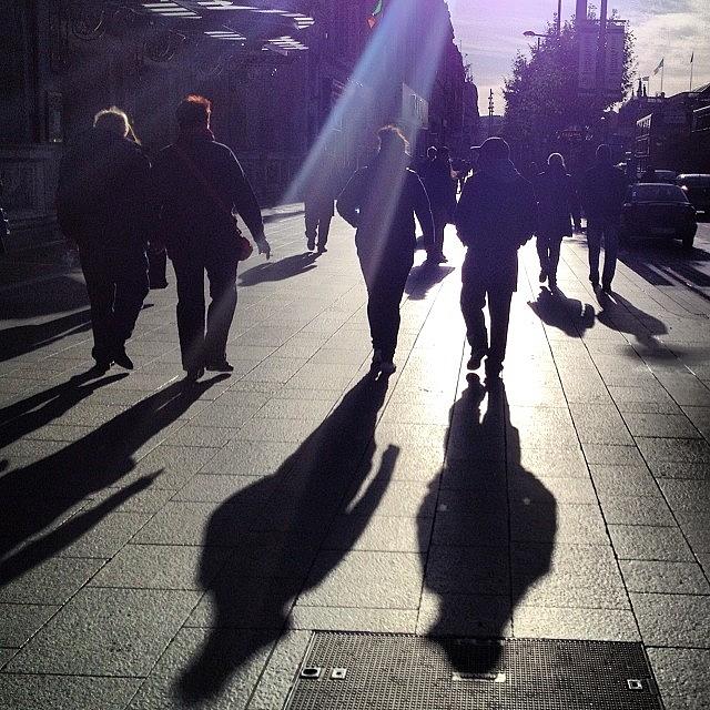 Sunshine & Shadows Photograph by David Lynch