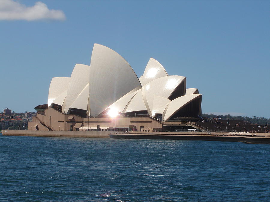 Sunshine in Sydney Photograph by Martin Masterson - Fine Art America