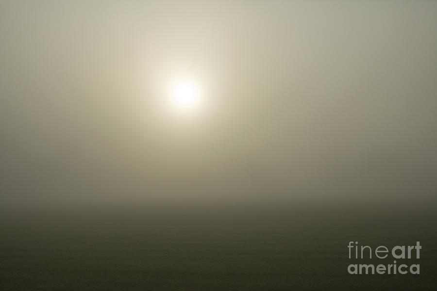 Sunshine in the mist  Photograph by Patricia Hofmeester