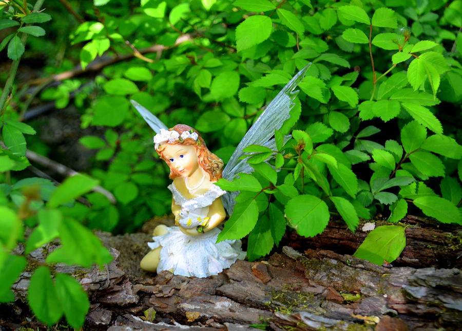Fairy Photograph - Sunshine Makes Me Happy Woodland Fairies by Linda Rae Cuthbertson