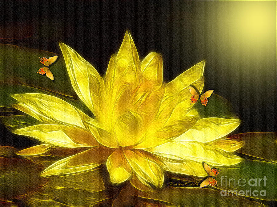 Sunshine Yellow Water Lily Digital Art by Madeline  Allen - SmudgeArt