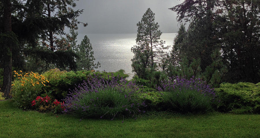 Sunshower on Lake Photograph by Kate Gibson Oswald