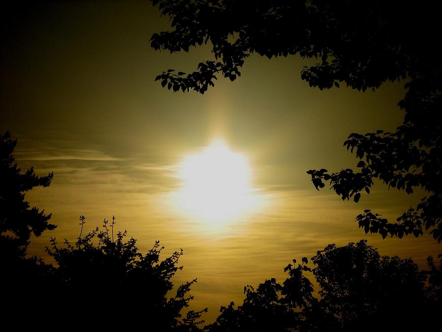 Sunster Photograph by Chris Dunn