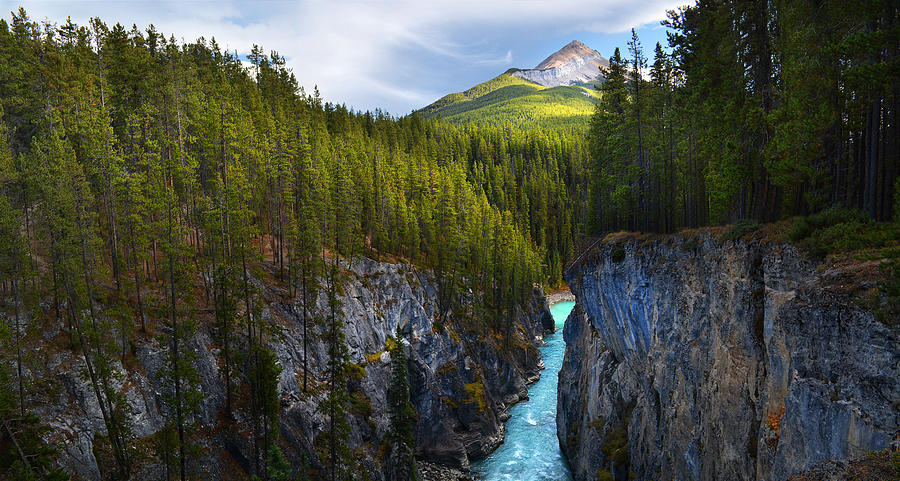 Banff National Park Photograph - Sunwapta Falls by John Poon