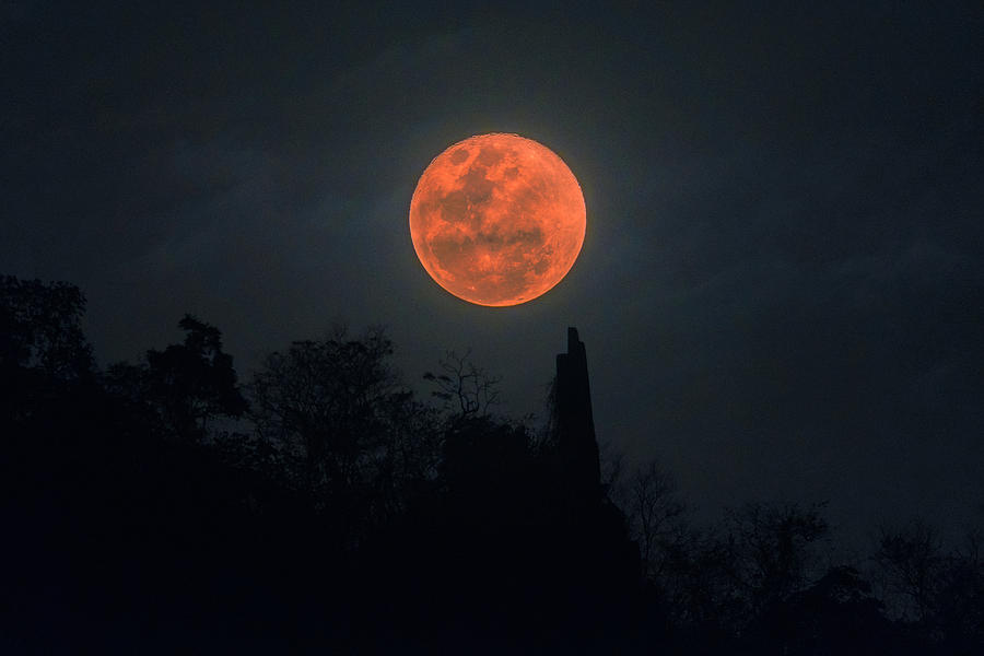 Super blood Blue moon Photograph by Aumphotography