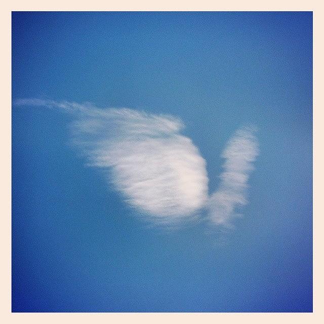 Super Blue Summer Sky + Swan  Cloud Photograph by Yusuf Kaka
