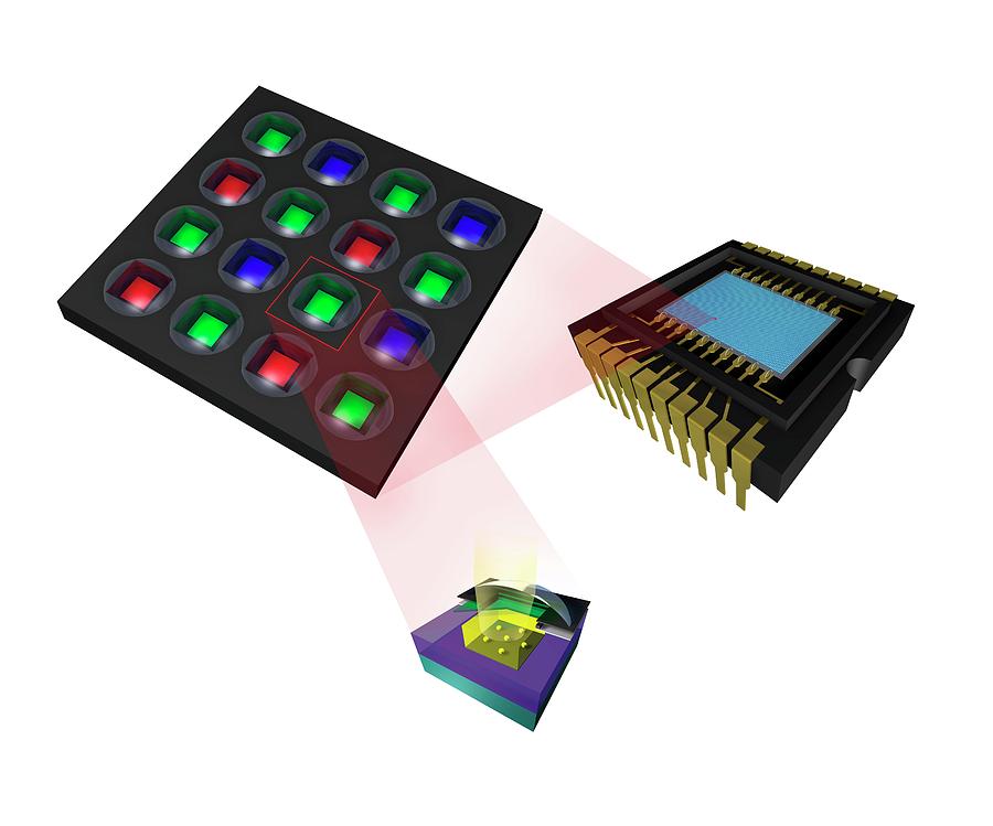 Super Ccd Chip Photograph by Paul Wootton/science Photo Library Pixels