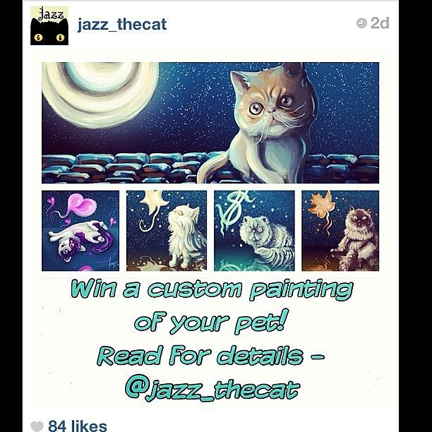 Super Cool Competition From @jazz_thecat Photograph by Samantha Charity Hall