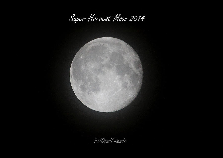 Super Harvest Moon 2014 Photograph by PJQandFriends Photography