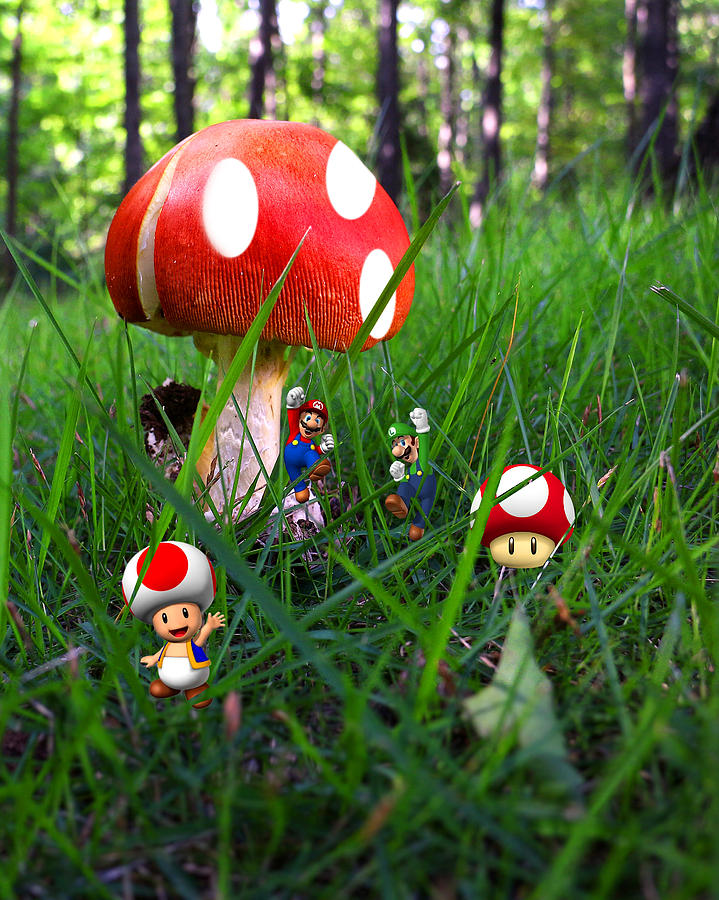 Super Mario Bros Mushroom Photograph by Joe Myeress