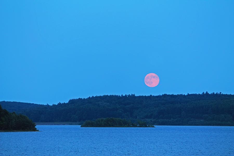Super Moon 7/4/2014 1 Photograph by Michael Saunders
