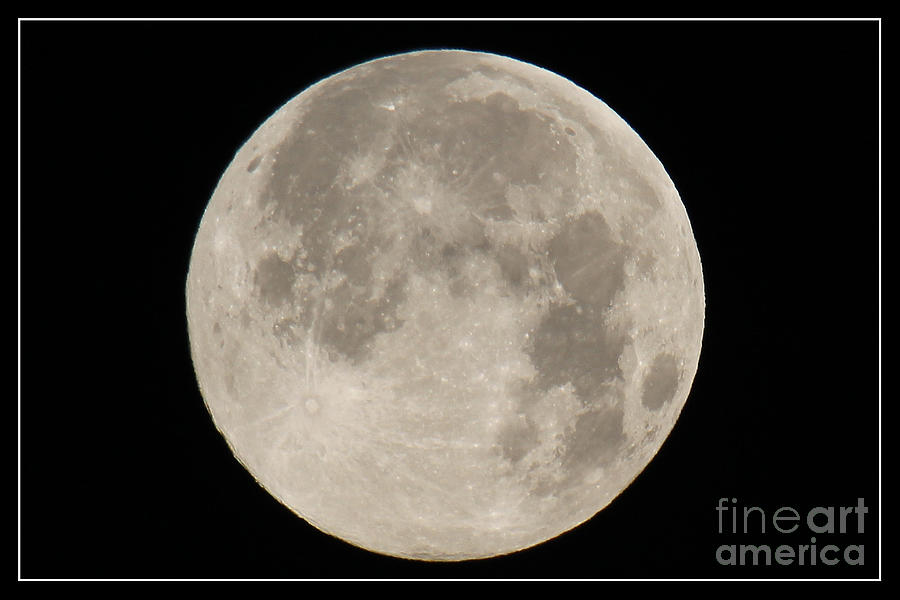 Super Moon 2013 Photograph by Bob Hislop
