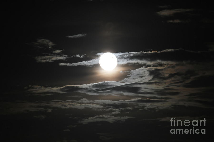 Planet Photograph - Super Moon 2013 by Cathy Lindsey