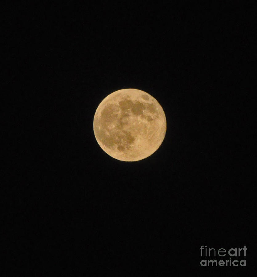 Super Moon 8 10 14 Photograph by Jay Milo