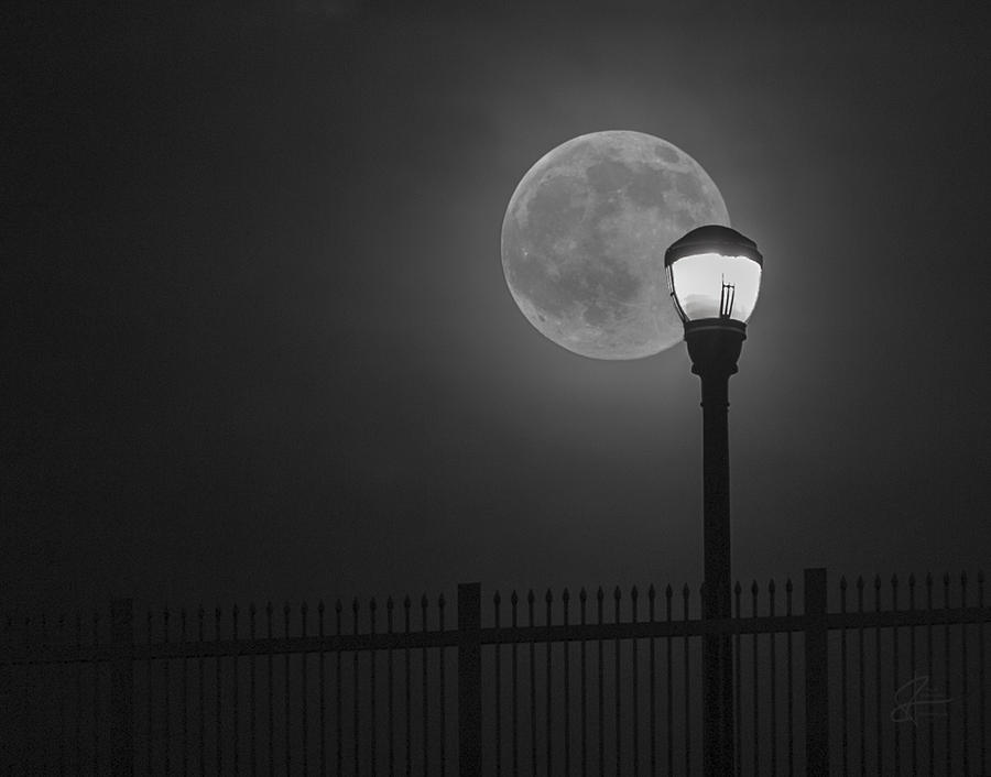 Moon Photograph - Super Moon and Streetlight by Frank Shoemaker