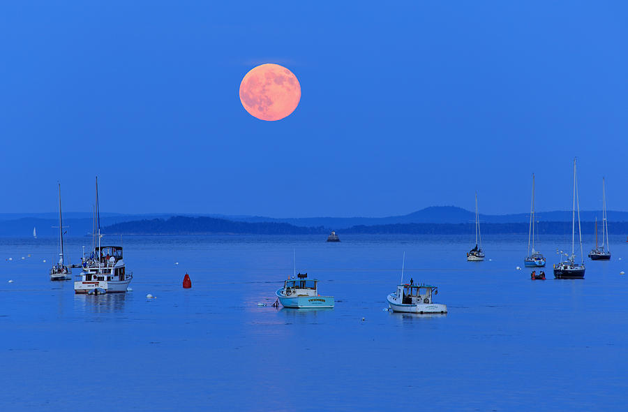 Super Moon Belfast Harbor Maine Photograph by Barbara West