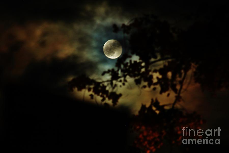 Super Moon  Photograph by Craig Wood