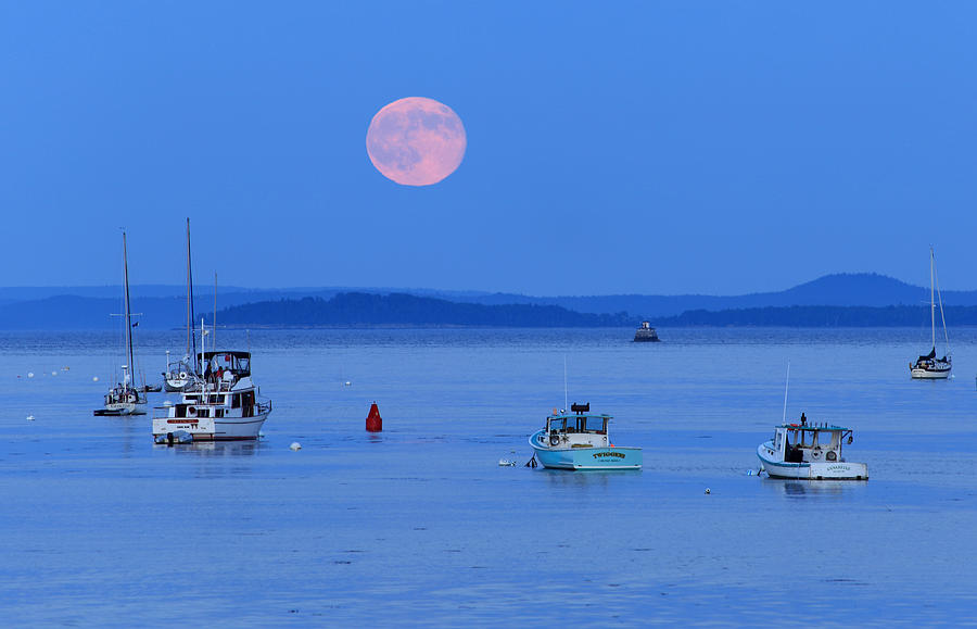 Super Moon Hangs Over Belfast Harbor Maine Photograph by Barbara West