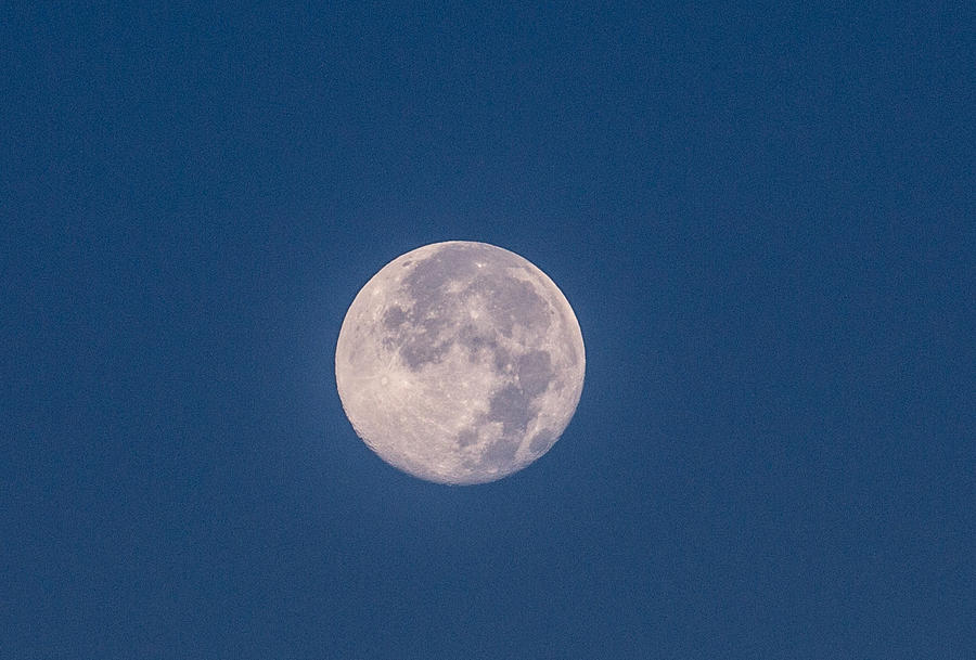 Super Moon July 2014 Photograph