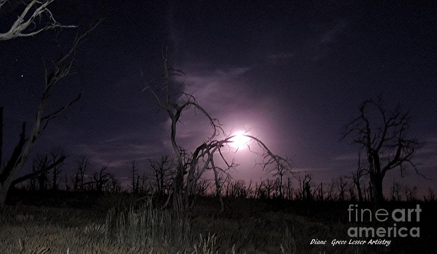 Super Moon Landscape Mesa Verde Co Photograph