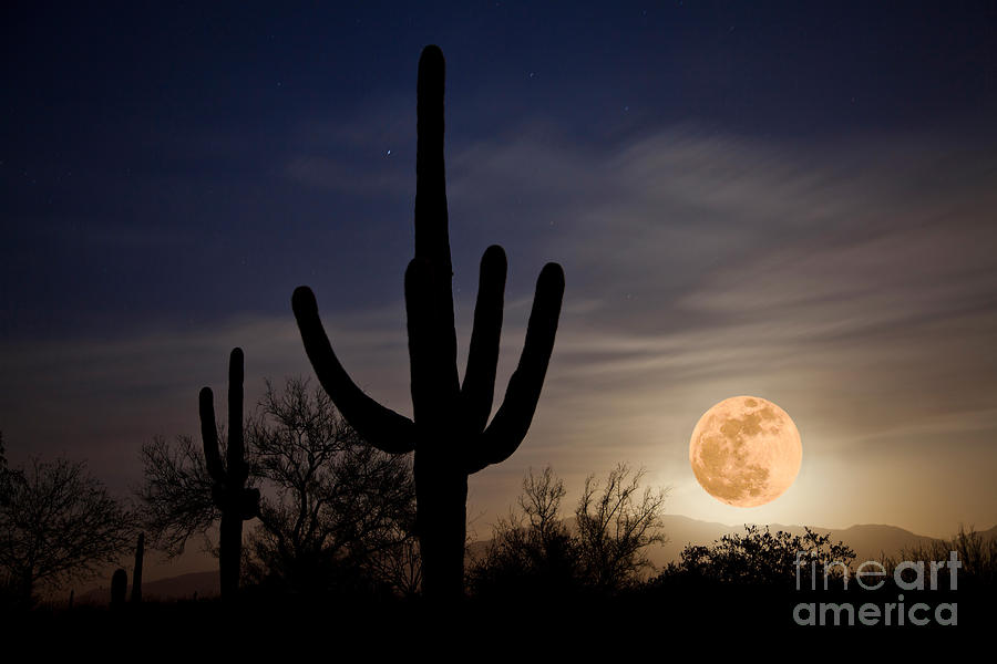 Nature Photograph - Super Moon Over Sonoran Desert by Richard and Ellen Thane