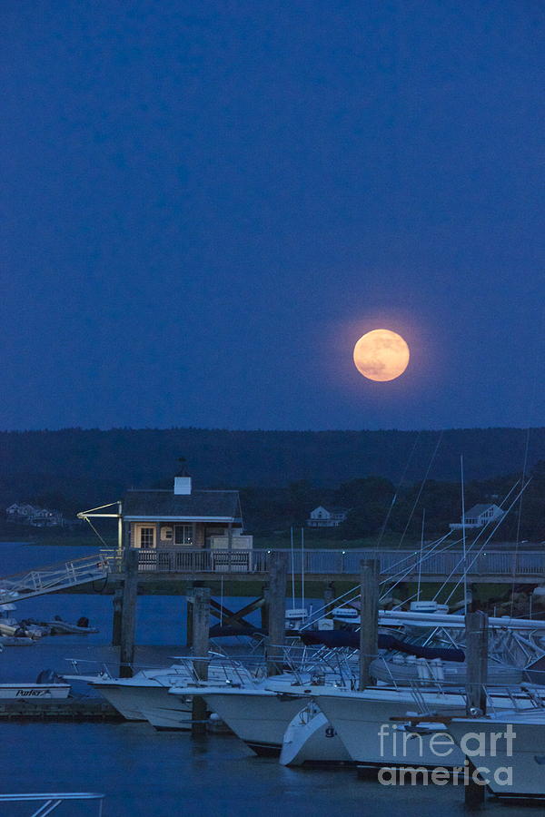 Super Moon Over the Boathouse Photograph by Amazing Jules