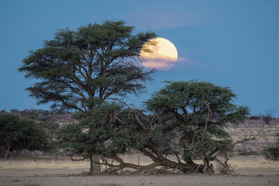 Super Moon Over The Kalahari Photograph by Tony Camacho/science Photo ...