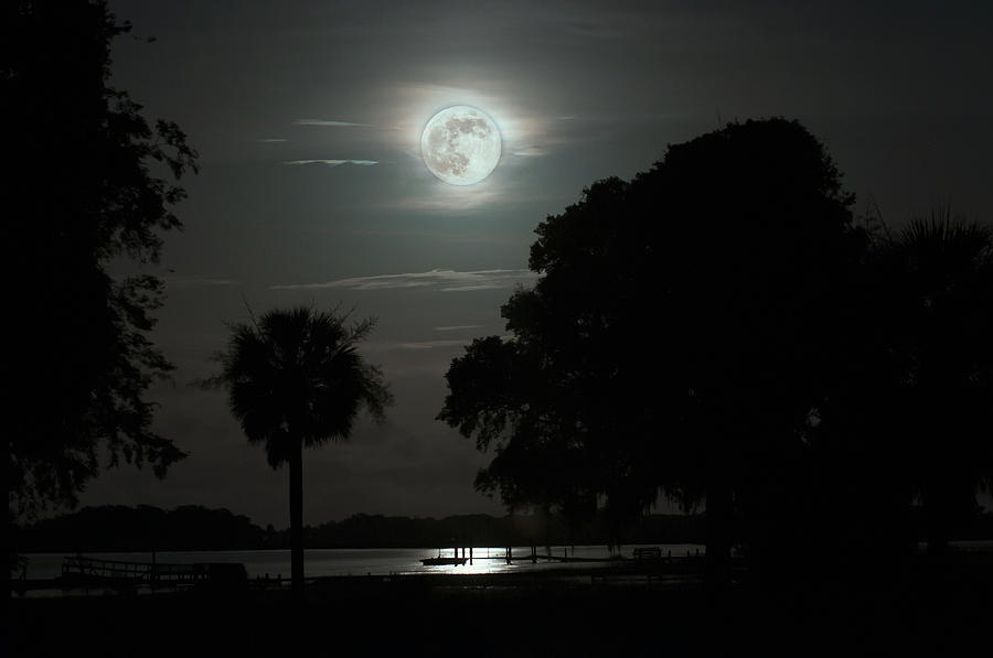 Super Moon Photograph - Super Moon over Wimbee Creek by Scott Hansen