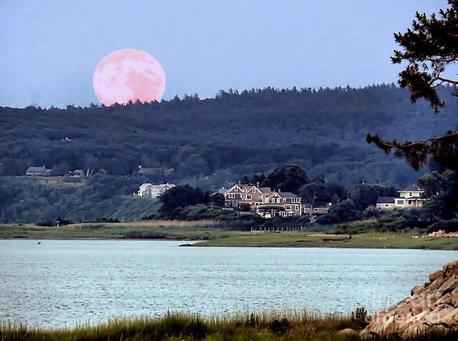 Super Moon Rising 2014 Photograph by Janice Drew
