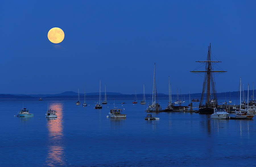 Super Moon Rising Above Belfast Harbor Maine Photograph by Barbara West