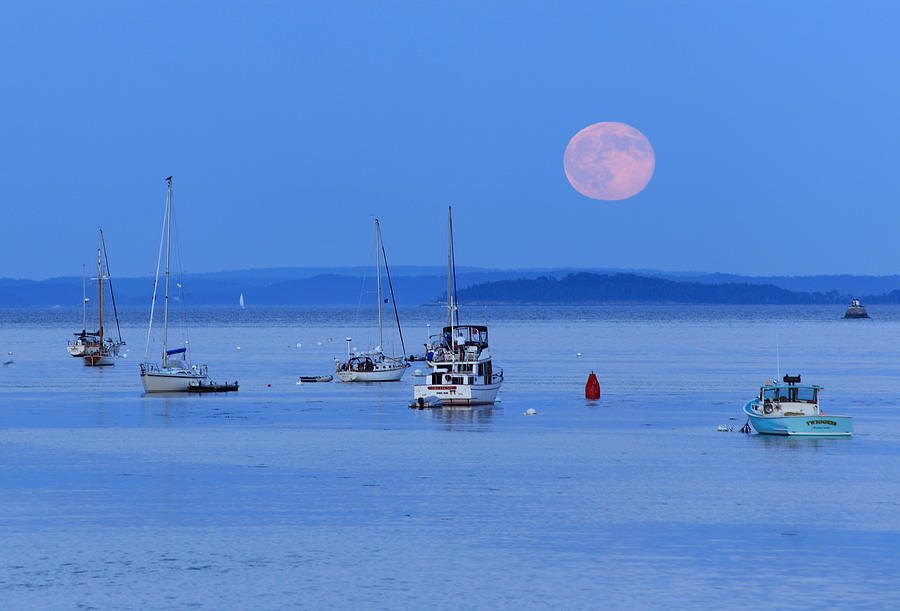 Super Moon Rising in Maine Photograph by Barbara West