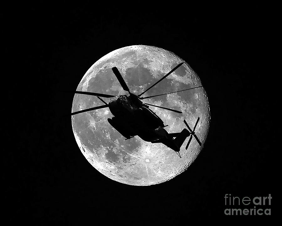 Super Stallion Silhouette Photograph by Al Powell Photography USA