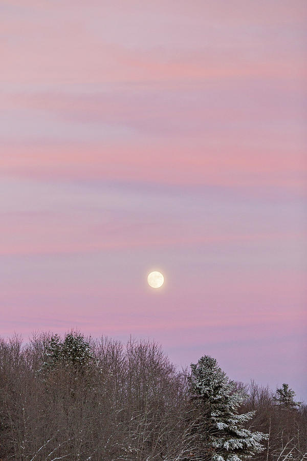 Supermoon Above Forest At Sunset Photograph by Chris Bennett