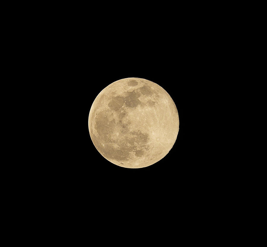 Supermoon Photograph by Cp Cheah