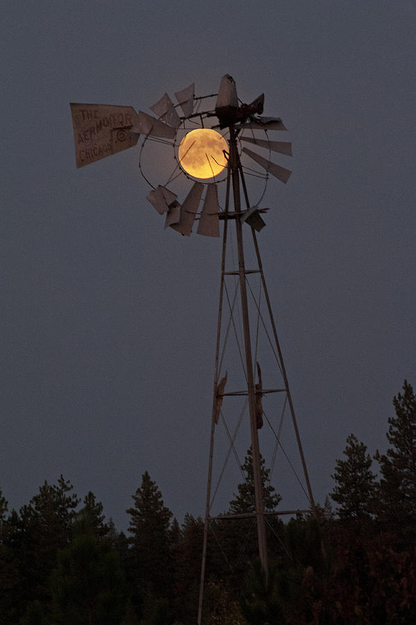 SuperMoon Windmill Photograph by Doug Davidson