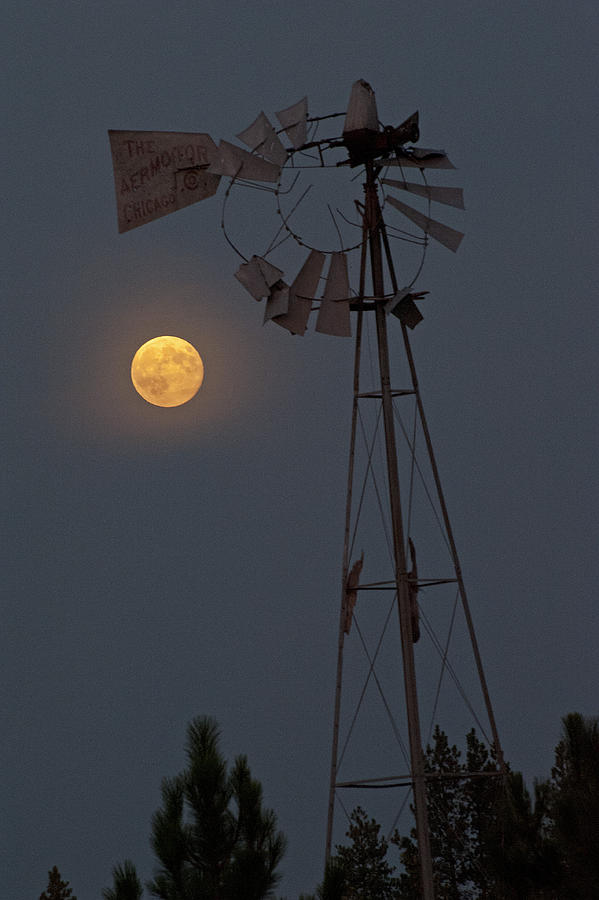 SuperMoon Windmill II Photograph by Doug Davidson