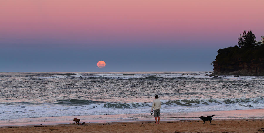 Supermoonrise Photograph by Howard Ferrier