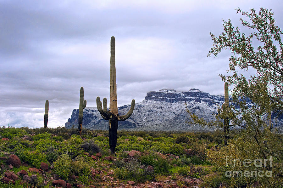 Superstition Mountain Snow Photograph by Brian Lambert - Fine Art America