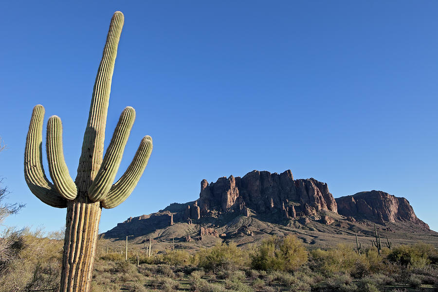 Superstition Mountains Photograph by Lisay