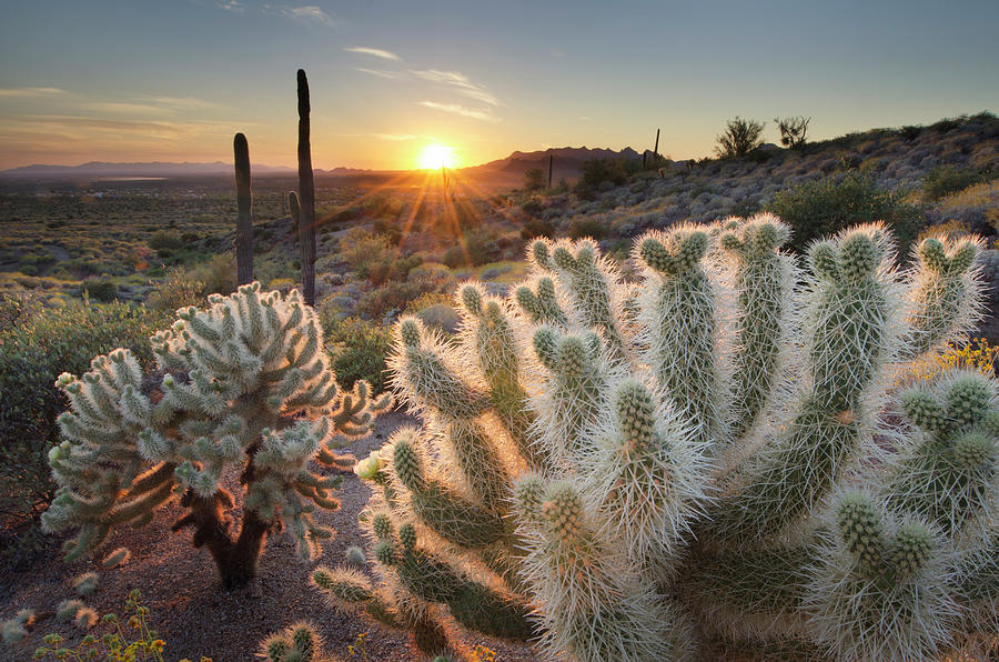 Superstition Mountains Sunset,  Arizona Photograph by Alan Majchrowicz