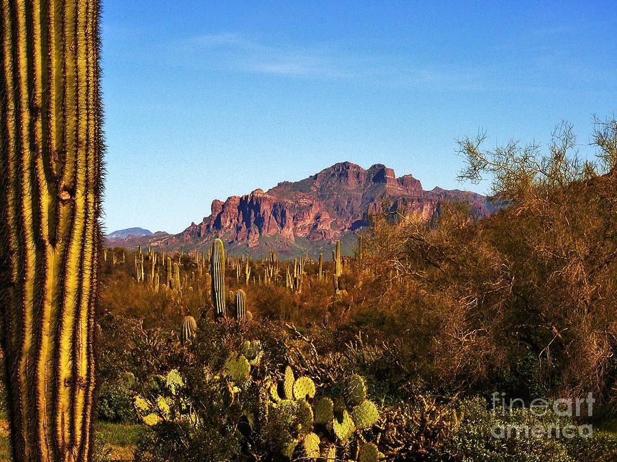 Superstition Mountain Photograph - Superstition Splendor by Marilyn Smith